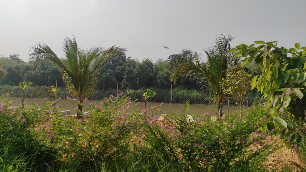 Homestay Dat Viet 吉仙 外观 照片