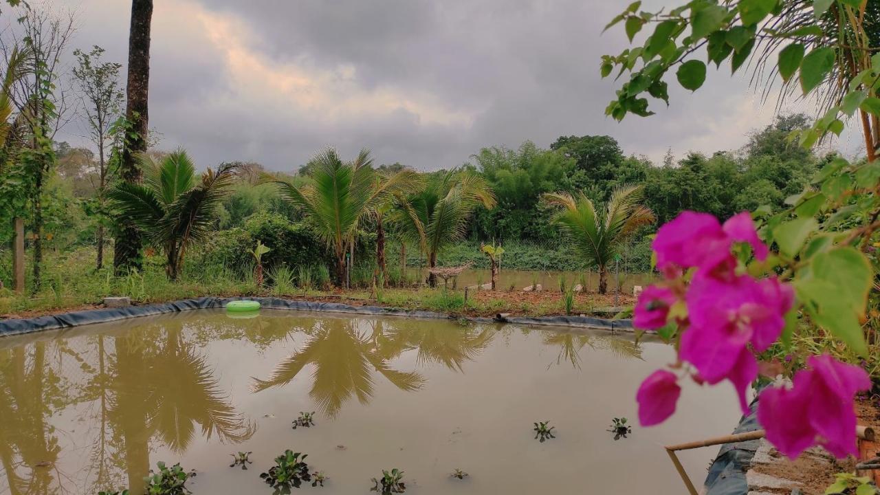 Homestay Dat Viet 吉仙 外观 照片